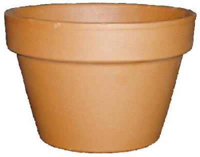 vassartruevalue4180254