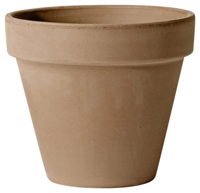 vassartruevalue4180316