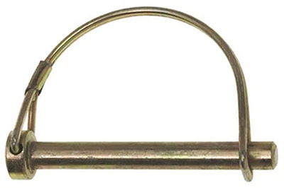 vassartruevalue4652391