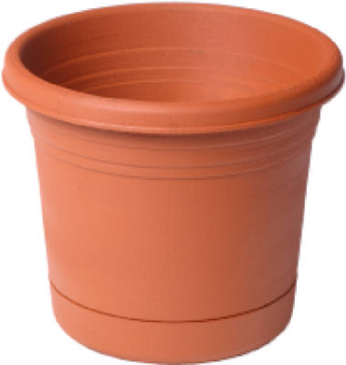 vassartruevalue4722522