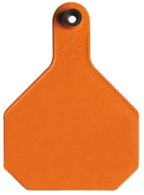 vassartruevalue5798961