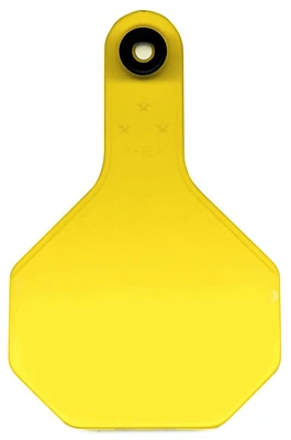 vassartruevalue5799032