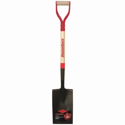 vassartruevalue5974158