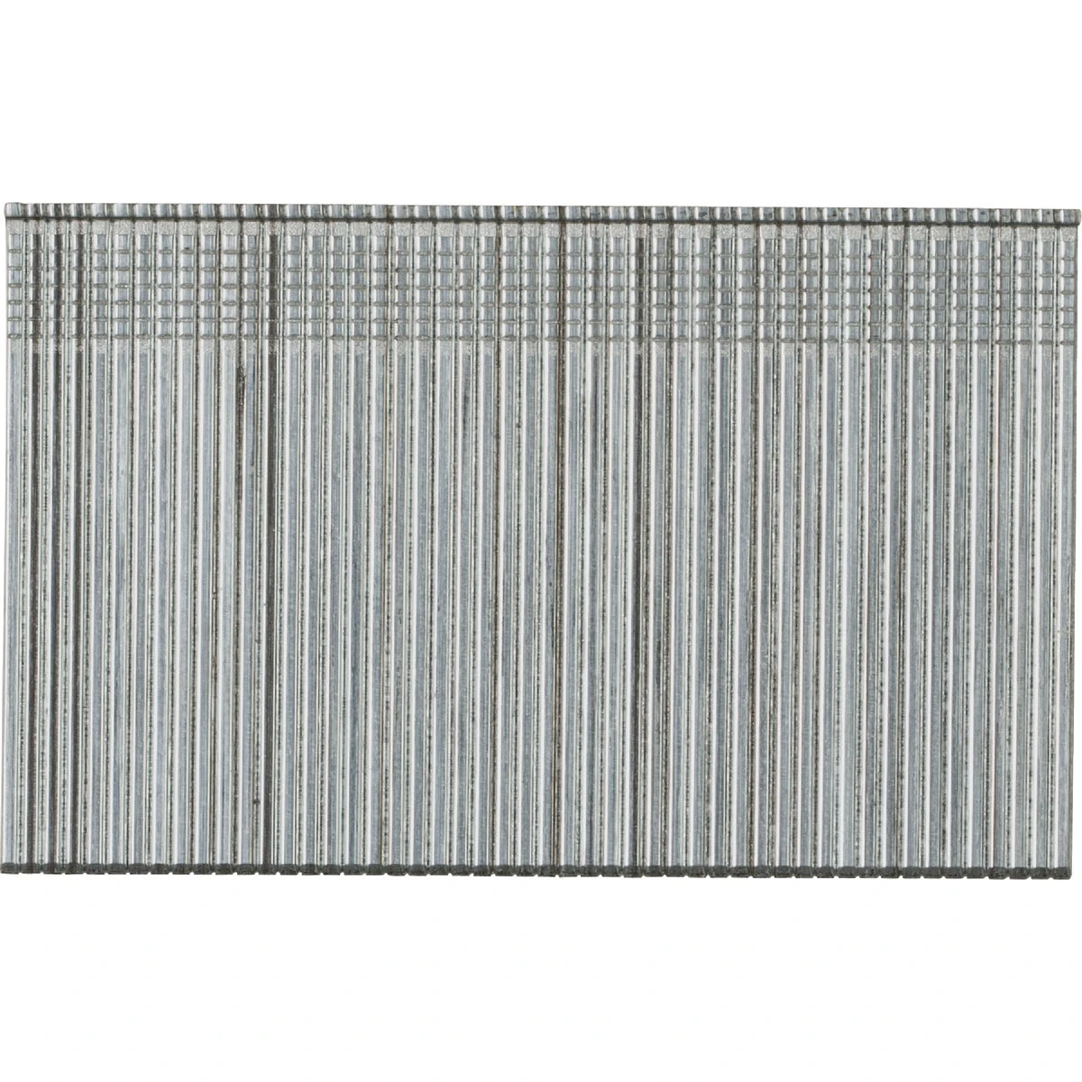 wdbryant4898904