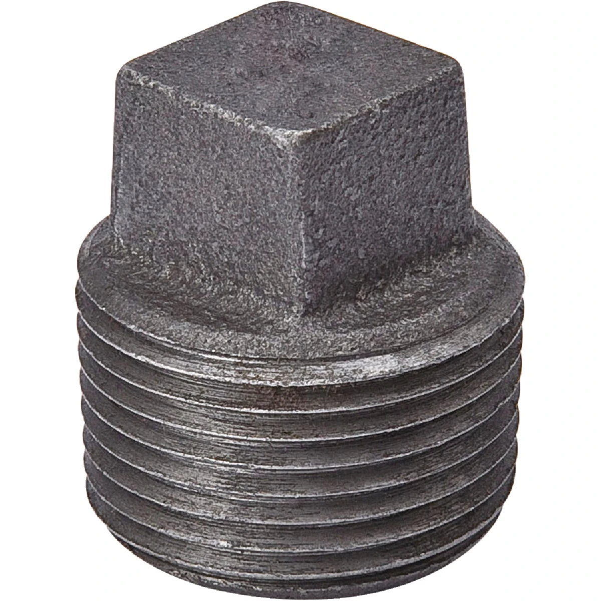 wdbryant6030874