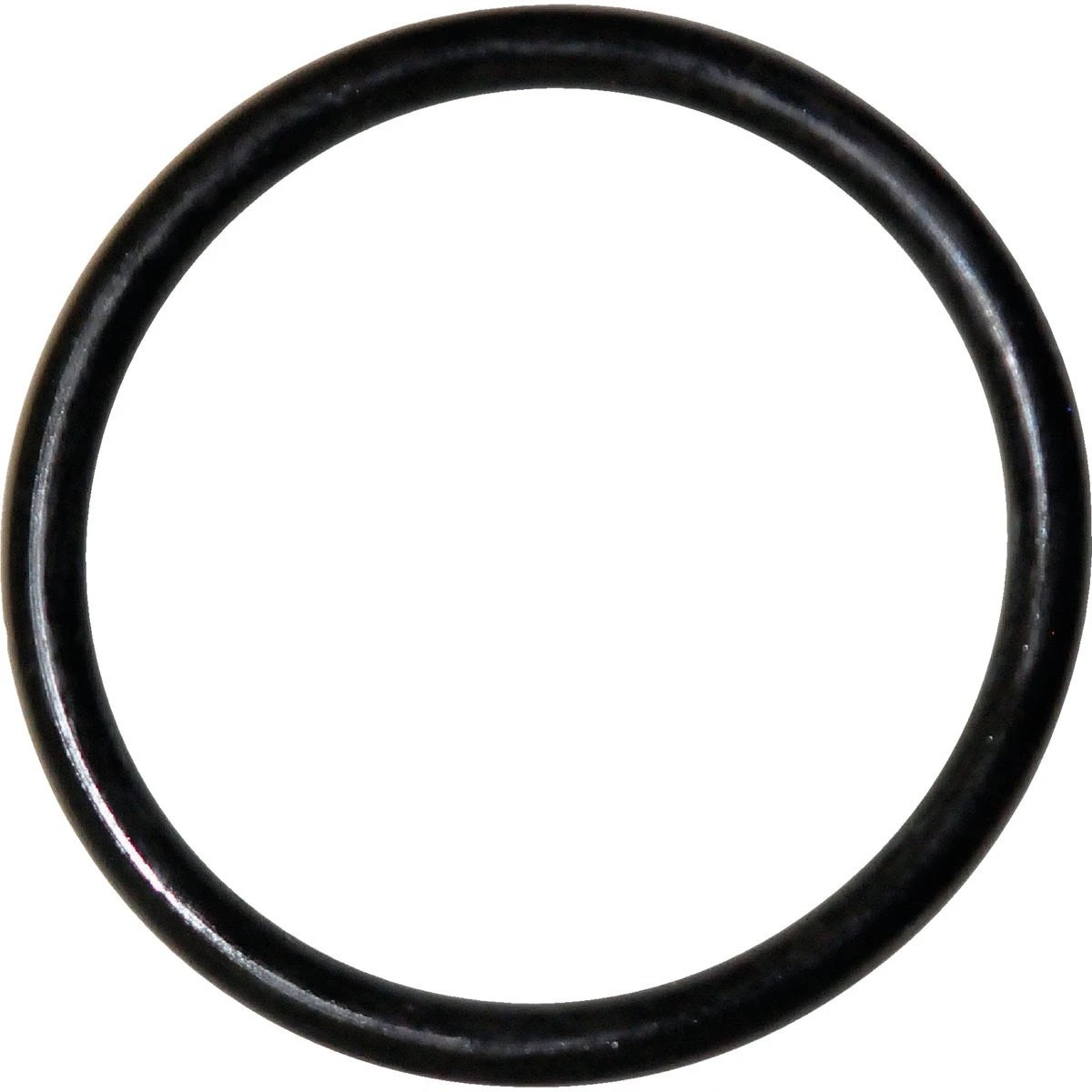 wdbryant6039384
