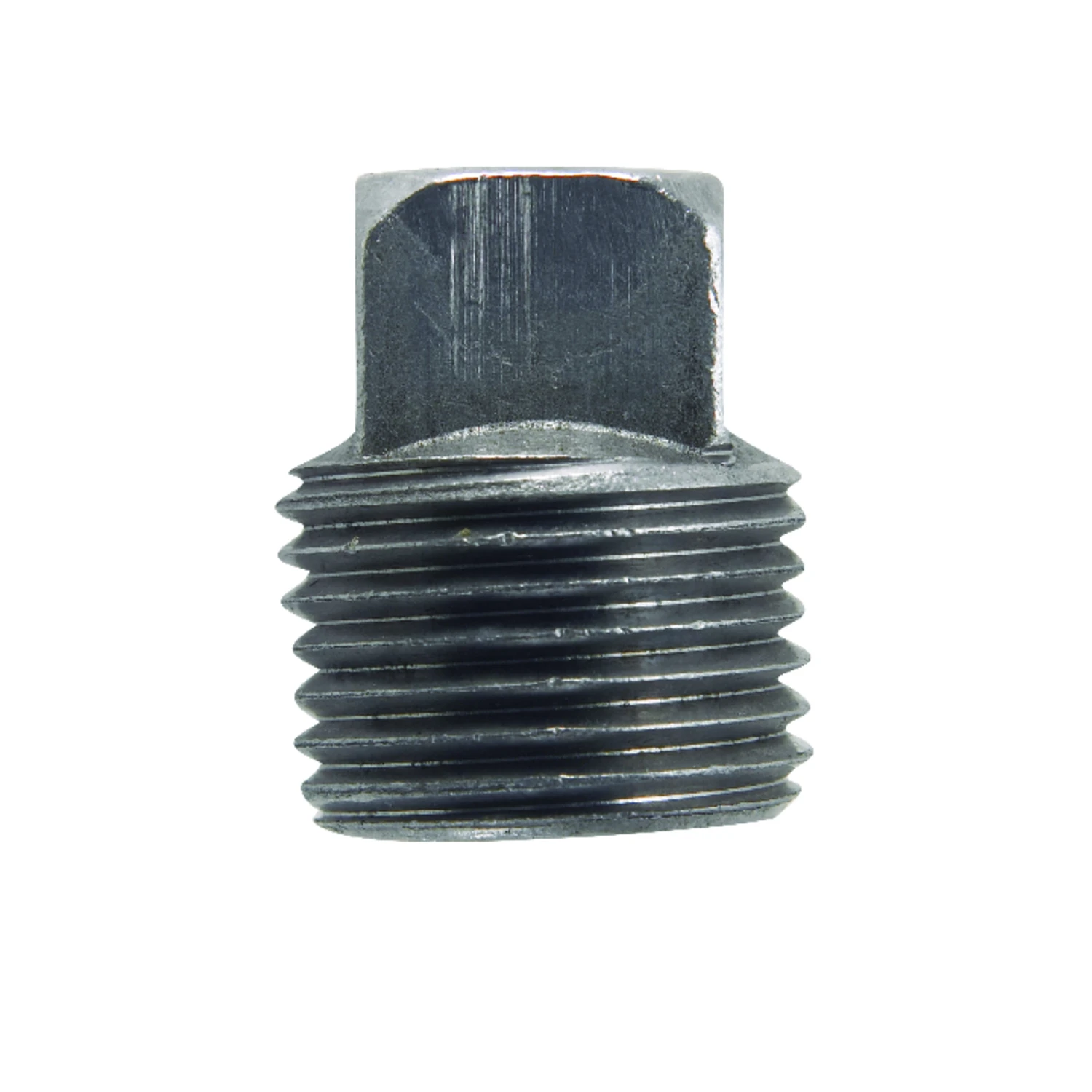 wdbryant6152440